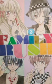 Image of Family Rush Vol. 3